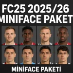 minifacesfc